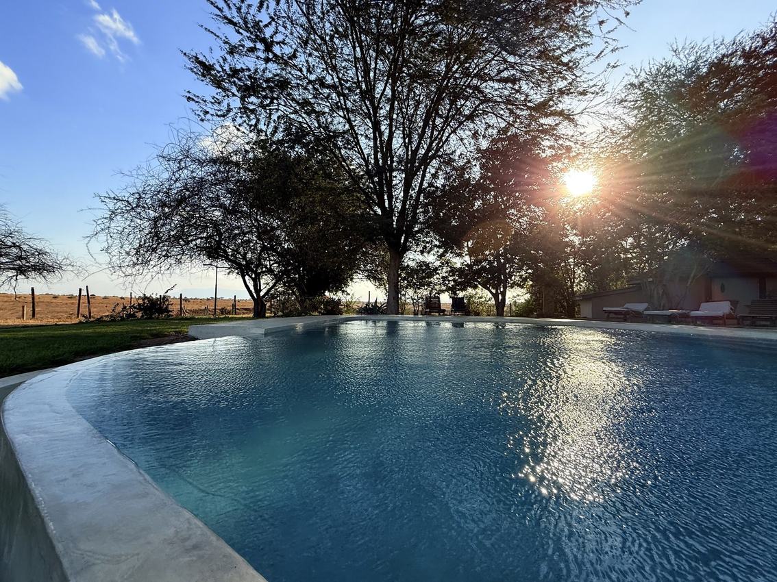 Infinity-edge pool glowing at sunset with the savanna plain beyond at Ashnil Aruba Lodge