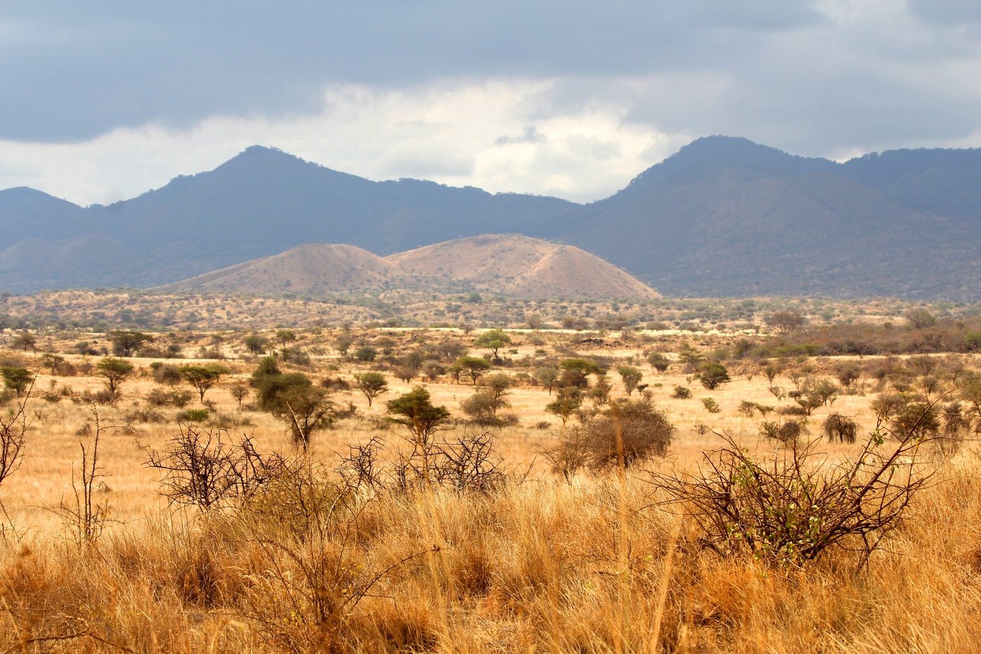 Hills of Tsavo West rising above dry grassland near Kitani Bandas