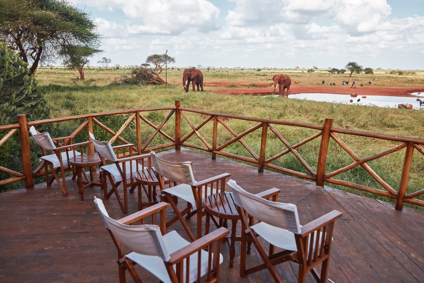 Wooden viewing deck with chairs overlooking elephants and zebra at the waterhole at Ngutuni Safari Lodge