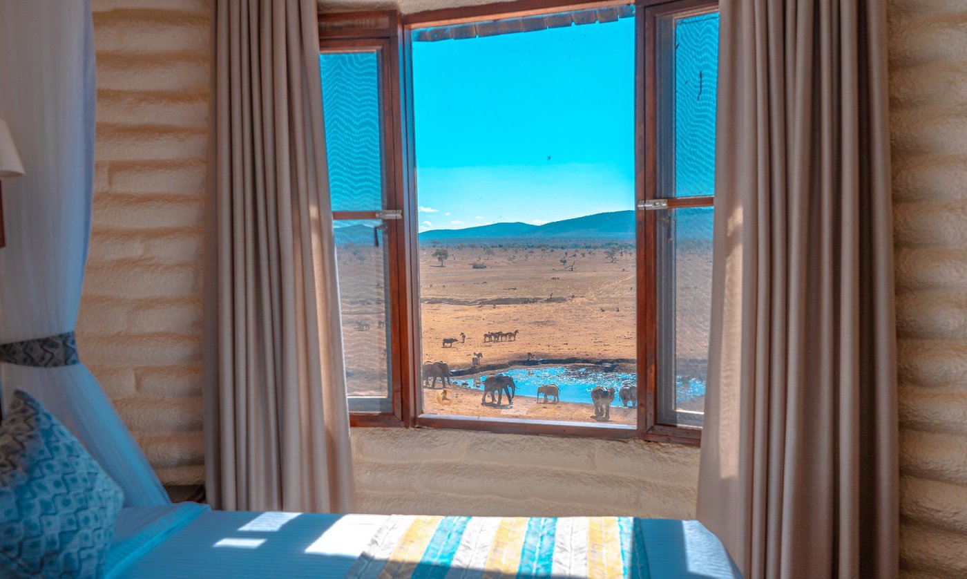 Room window framing a view of the waterhole at Salt Lick Safari Lodge