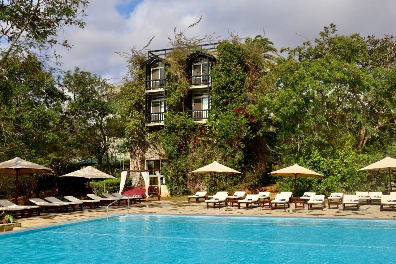 Swimming pool with loungers and umbrellas on the lawn at Taita Hills Safari Resort & Spa