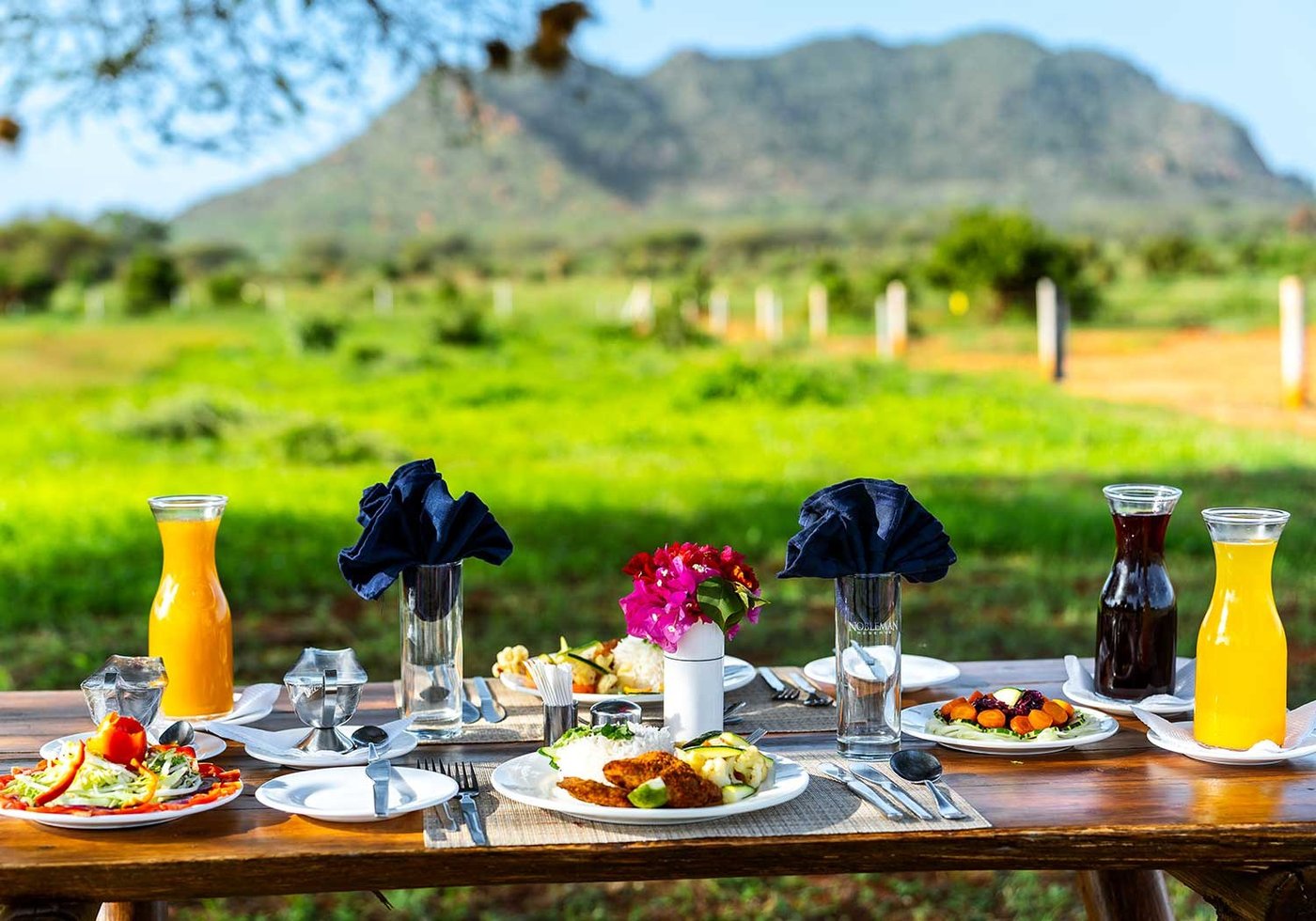 Breakfast table laid on the grass overlooking the plains at Voi Wildlife Lodge