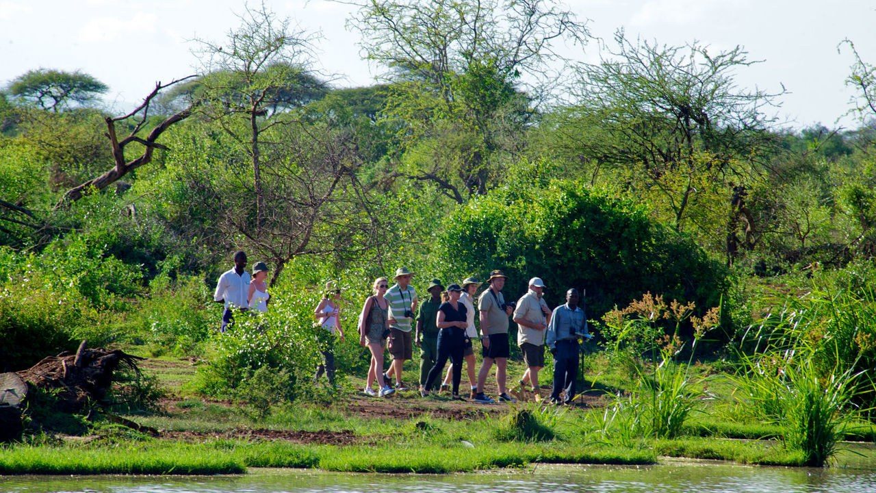 A guide leads guests on a bush walk along the riverbank at Voyager Ziwani